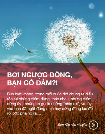 Câu chuyện đam mê