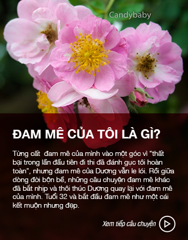 Câu chuyện đam mê