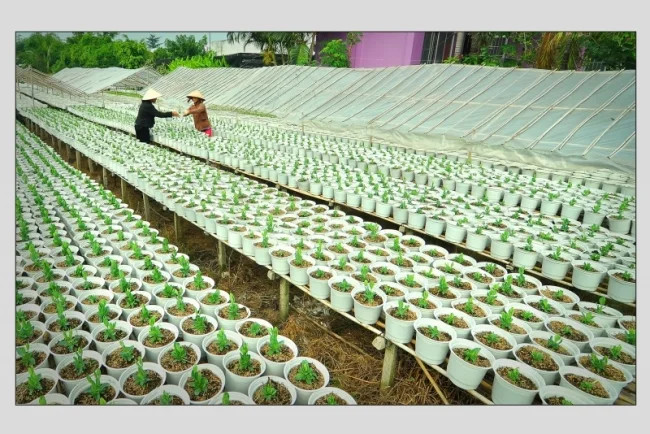 Cuộc thi ảnh Tết Việt 2014 – “Xuân nghĩa tình”