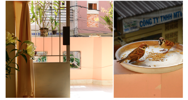 Trọn bộ bí kíp chụp ảnh đẹp cùng Nhiếp ảnh gia Nguyễn Thứ Tính Trọn bộ bí kíp chụp ảnh đẹp cùng Nhiếp ảnh gia Nguyễn Thứ Tính