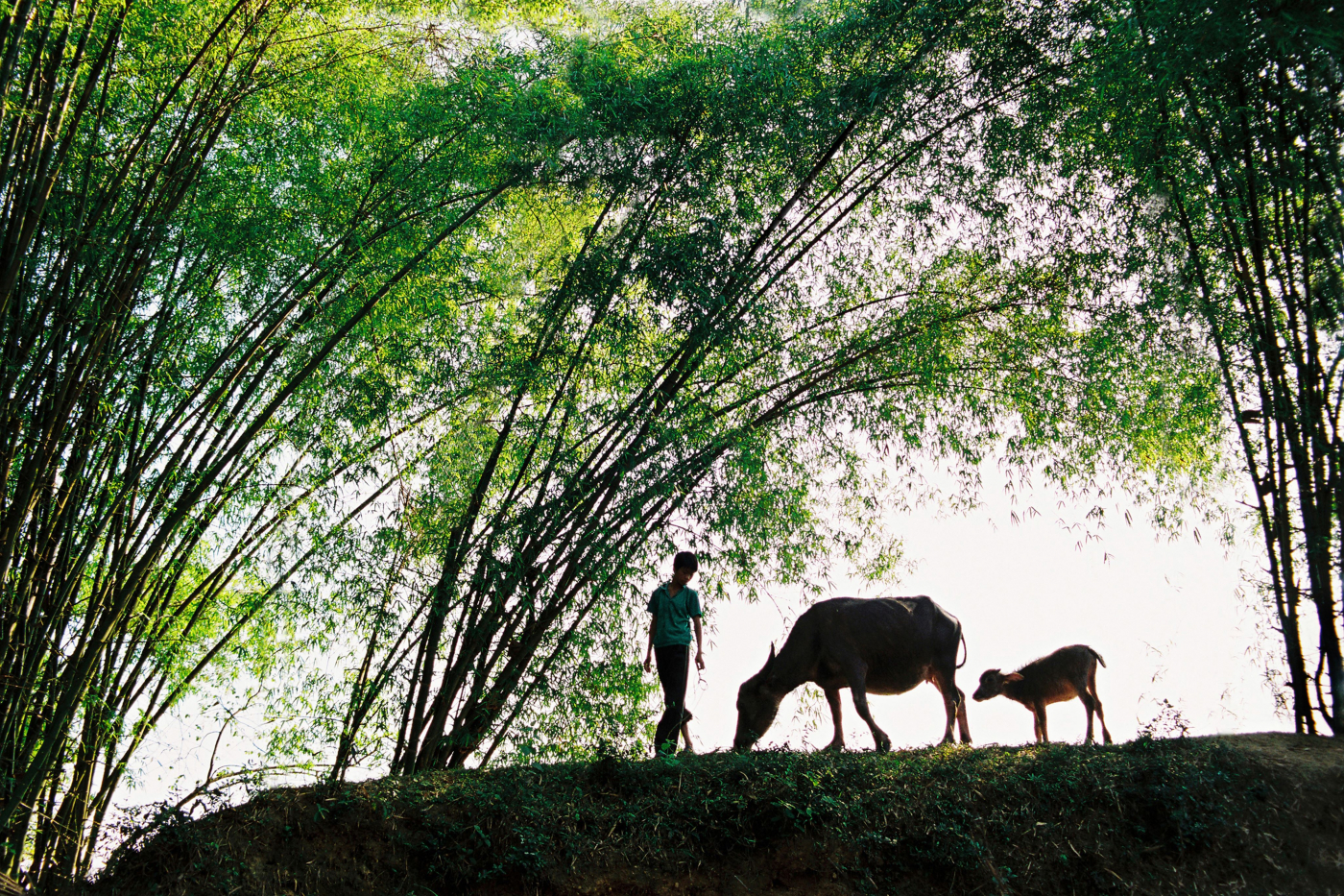 Thương nhớ đồng quên - Trần Nhân Quyền Nghệ sĩ Trần Nhân Quyền: “Chơi nhiếp ảnh thì dễ, gắn bó lâu dài mới khó.”