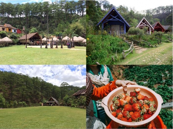 Summer Trip 2018: Tháng 5 rực rỡ