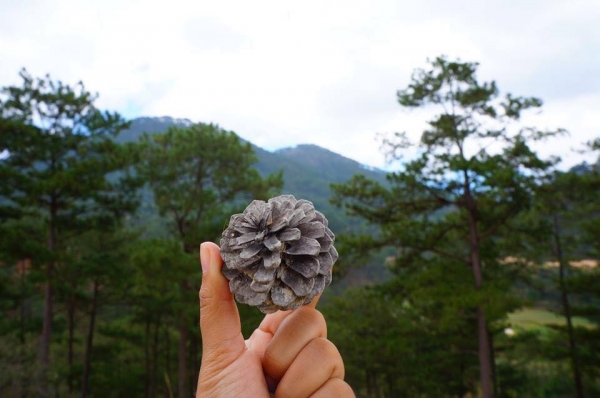 Summer Trip 2018: Tháng 5 rực rỡ