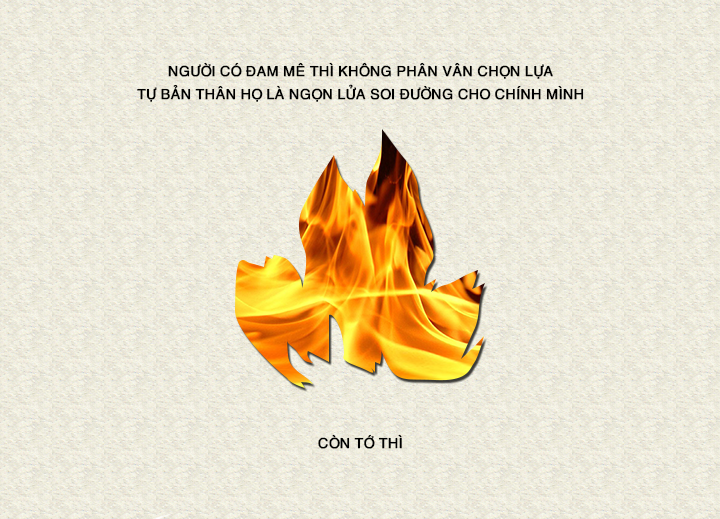 Bai-du-thi-chap-canh-dam-me-Dam-me? dam-me-11