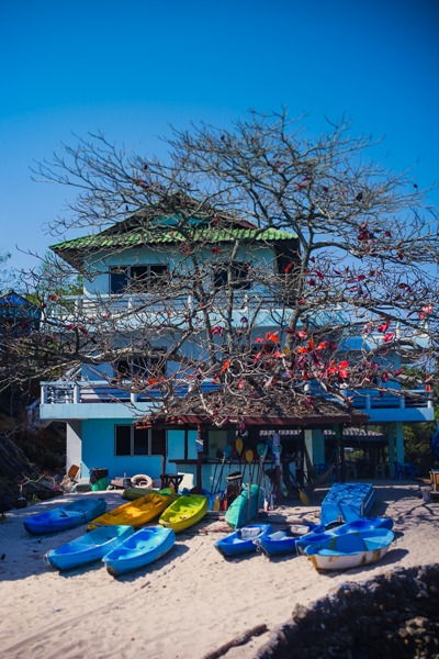 học thiết kế, học đồ họa, học Arena