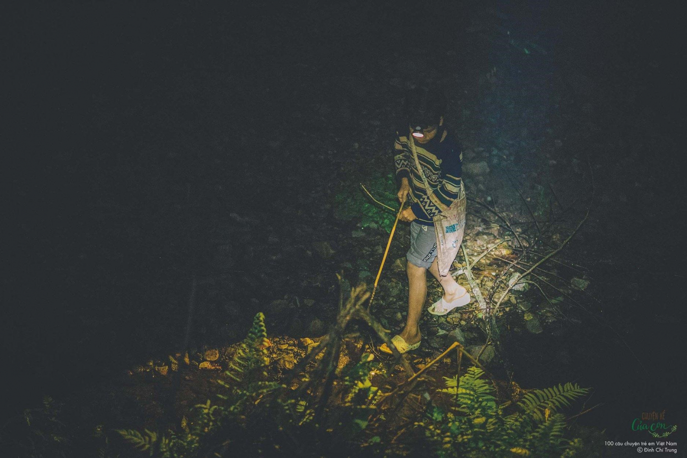 Câu chuyện số #13: Yêu rừng sẽ giữ được rừng