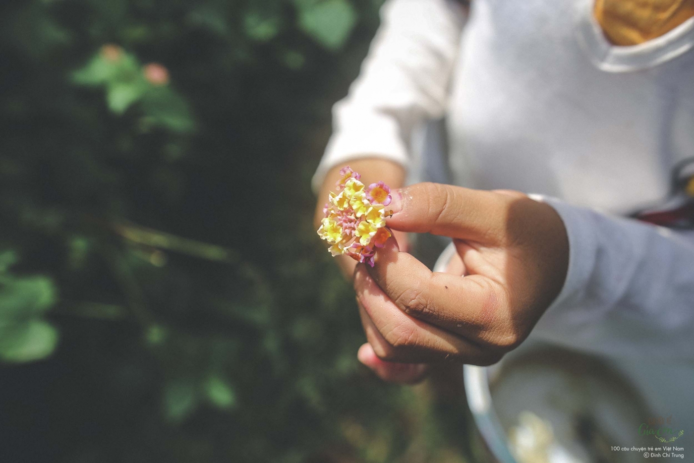 Câu chuyện số 12: Tiến và những hạt cát vương trên đôi má Câu chuyện số 12: Tiến và những hạt cát vương trên đôi má