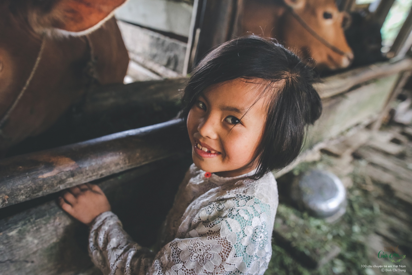 Câu chuyện số 11: Những đứa trẻ nhà Dính Câu chuyện số 11: Những đứa trẻ nhà Dính