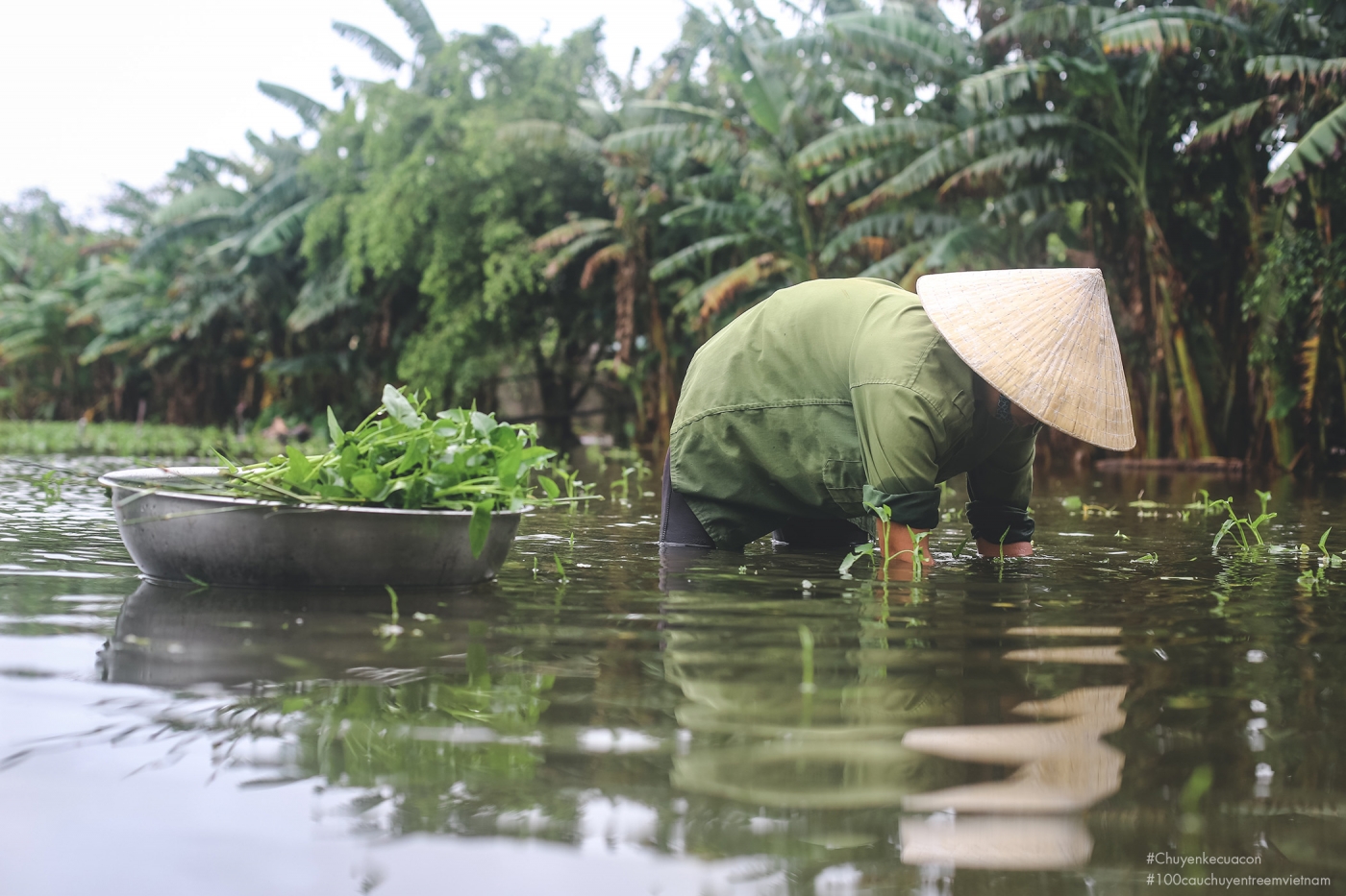 mảnh đất mượn nhà hàng xóm mảnh đất mượn nhà hàng xóm