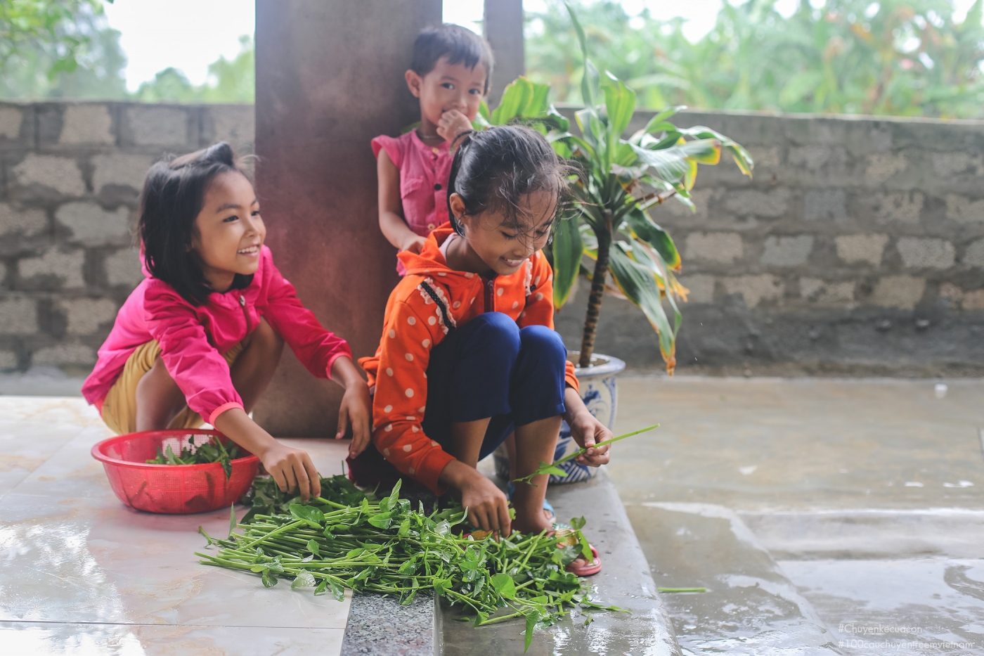 Vân cùng em nhặt rau Vân cùng em nhặt rau