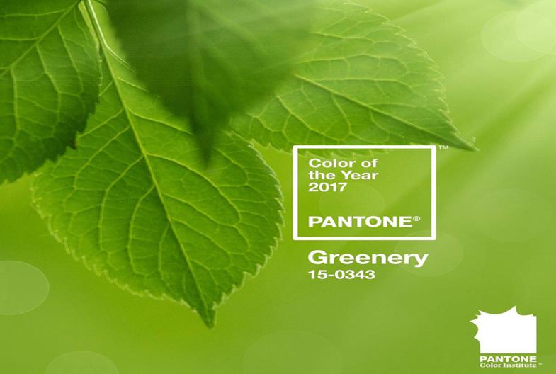 Laurie Pressman- Đại diện Pantone chia sẻ cách tìm ra xu hướng màu của năm Laurie Pressman- Đại diện Pantone chia sẻ cách tìm ra xu hướng màu của năm
