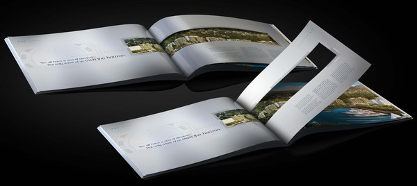 thiet-ke-brochure-la-gi-wiki-designs-vn