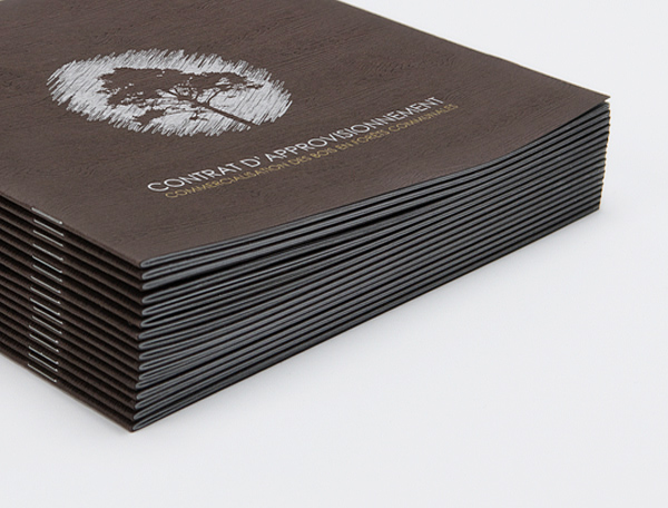 Tìm hiểu về thiết kế brochure thiet-ke-brochure-la-gi-wiki-designs-vn