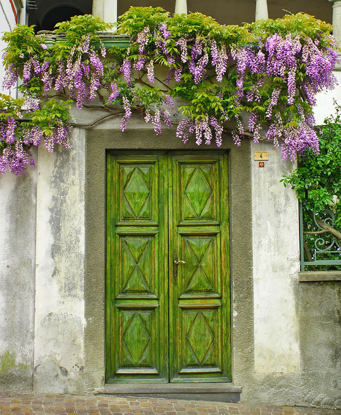 Arena-Multimedia-Door