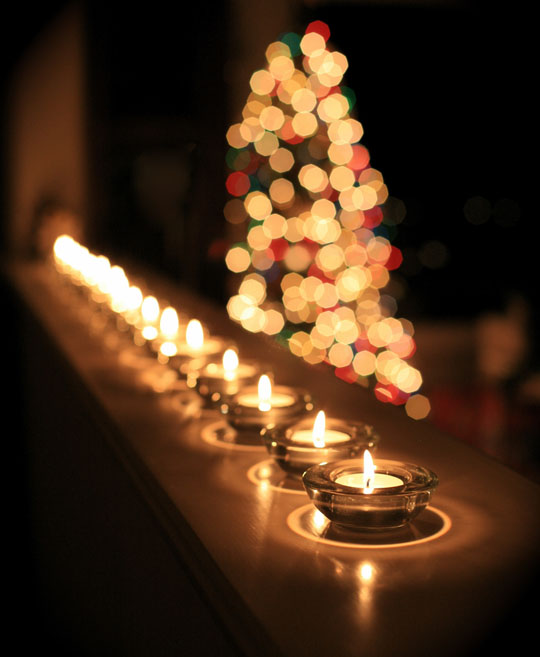 “Bokeh” trong nghệ thuật nhiếp ảnh
