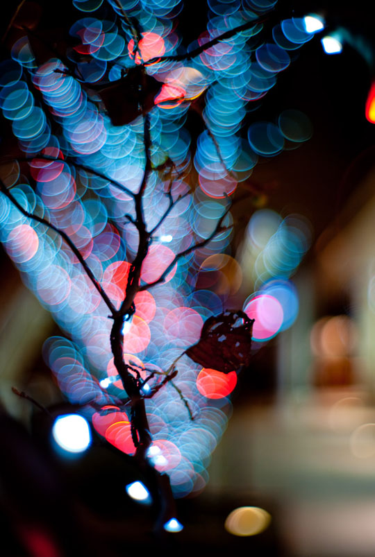 “Bokeh” trong nghệ thuật nhiếp ảnh