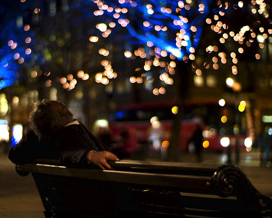 “Bokeh” trong nghệ thuật nhiếp ảnh