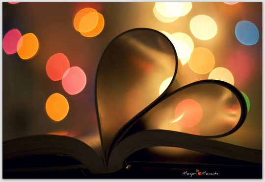 “Bokeh” trong nghệ thuật nhiếp ảnh