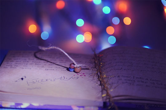 “Bokeh” trong nghệ thuật nhiếp ảnh