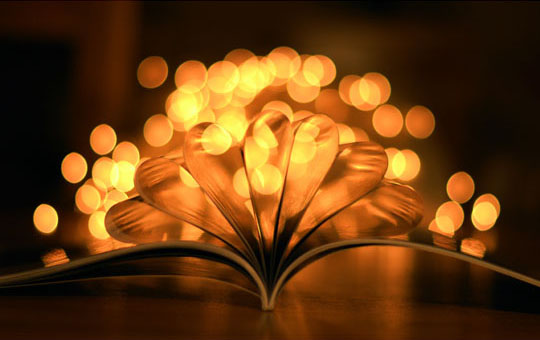 “Bokeh” trong nghệ thuật nhiếp ảnh