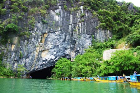 Cuộc thi thiết kế Logo và Slogan vườn quốc gia Phong Nha Kẻ Bàng