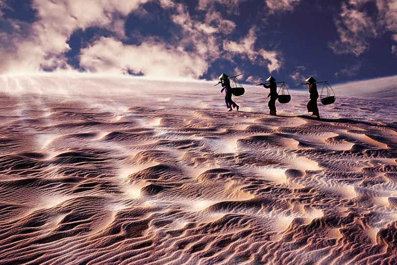 ly hoang long