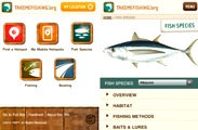 Xu hướng thiết kế web trên mobile năm 2012