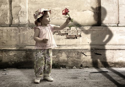 30 tấm hình photography đặc sắc - Shyness