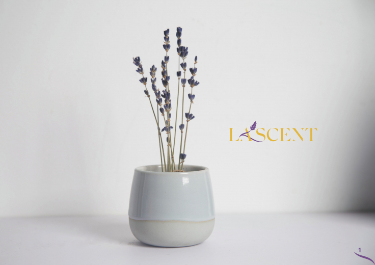 Bộ nhận dạng thương hiệu “La’scent” – Đồ án lớp D1808G2