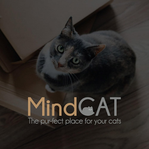 Thiết kế giao diện website Cửa hàng vật nuôi Mind Cat