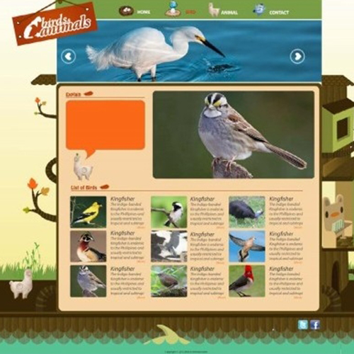 Thiết kế web Bird & Animals