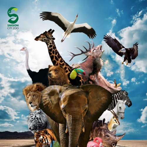 Saigon City Zoo