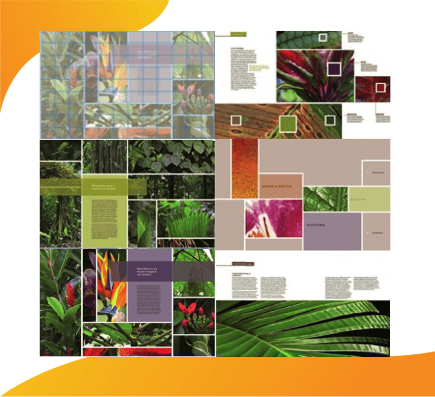 Phần 2: Layout - Tầm quan trọng của bố cục trong thiết kế