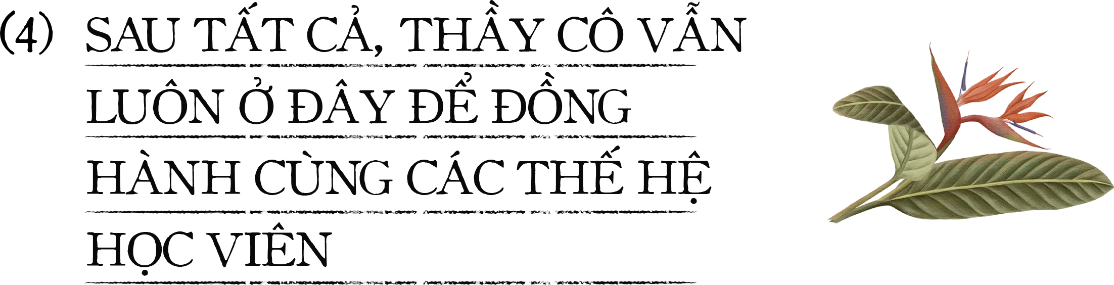 Chuyện về một năm học khác lạ và những điều thầy cô chúng ta bây giờ mới kể