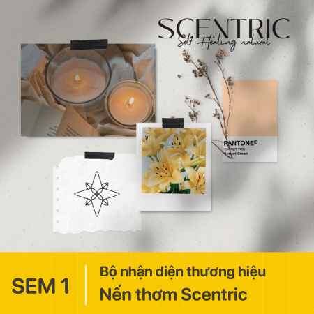 Đồ án nổi bật