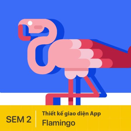 Thiết kế giao diện Ứng dụng đọc và tạo thẻ ôn tập Flamingo
