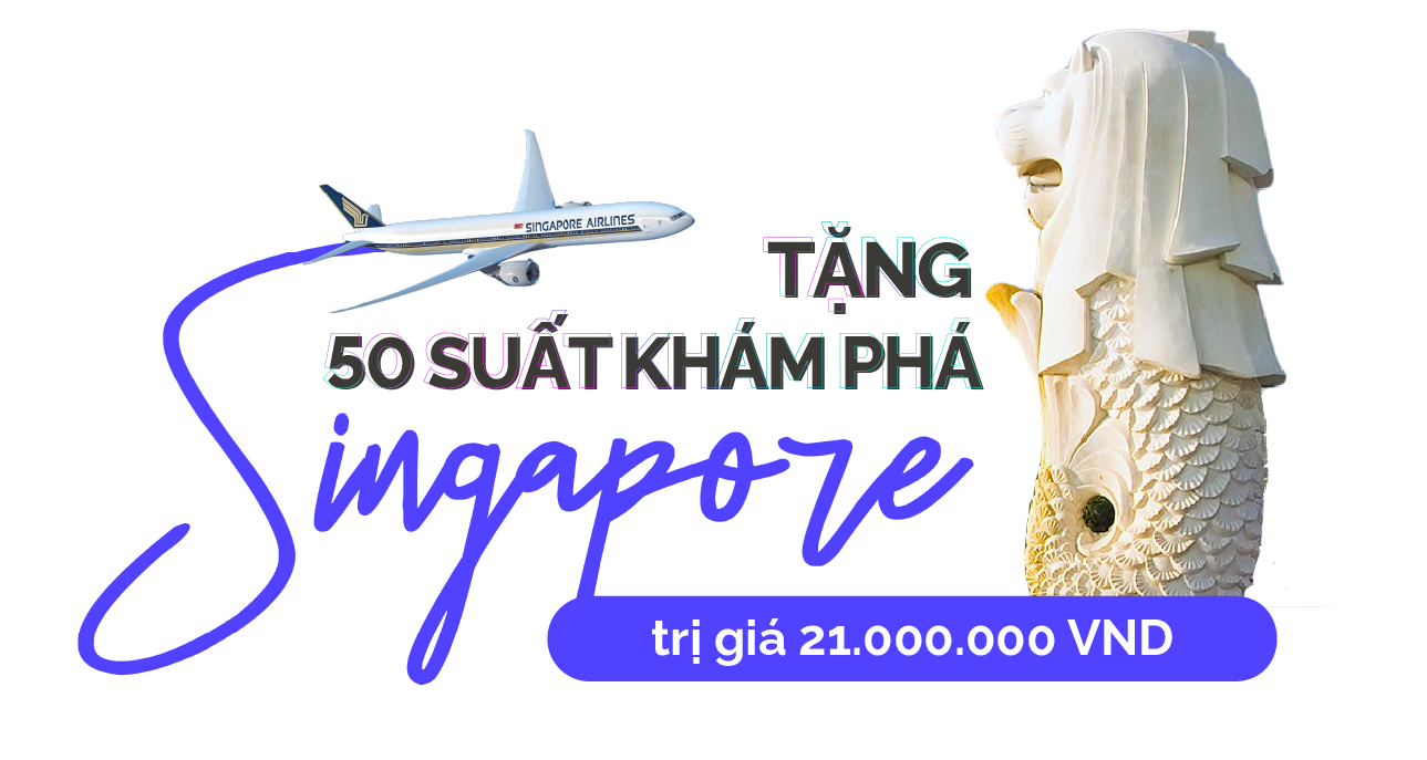 Khóa học Graphic Design & Interactive Media