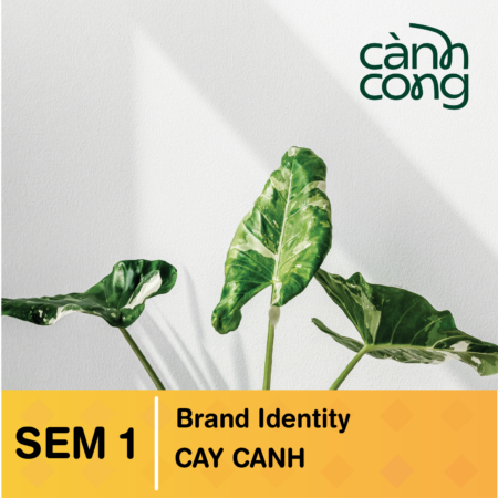 Đồ án nổi bật