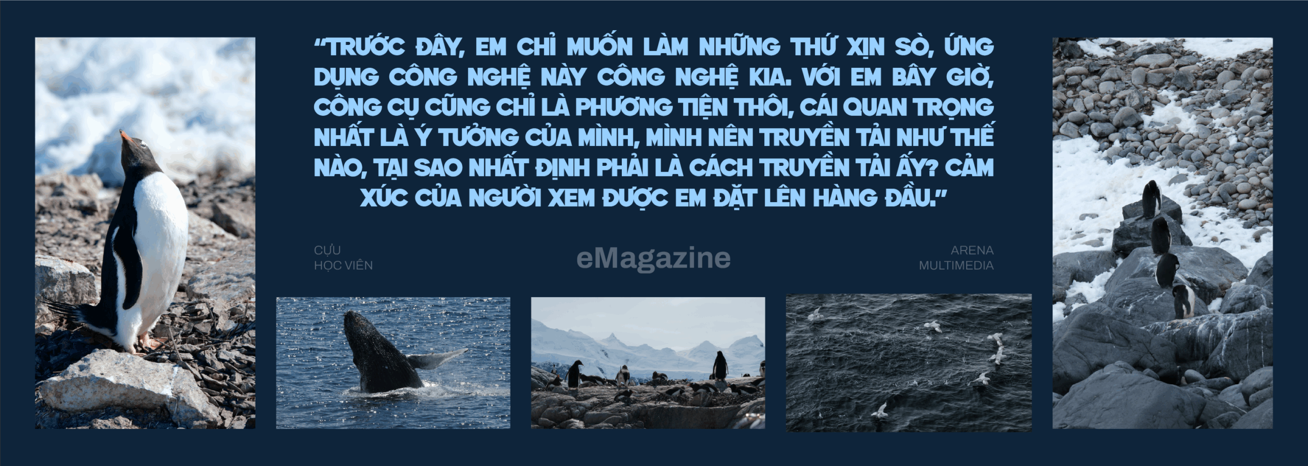 Trang Lã - Cựu học viên mở triển lãm đa phương tiện tại Mỹ & giấc mơ về Việt Nam cống hiến cho ngành 3D Trang Lã - Cựu học viên mở triển lãm đa phương tiện tại Mỹ & giấc mơ về Việt Nam cống hiến cho ngành 3D